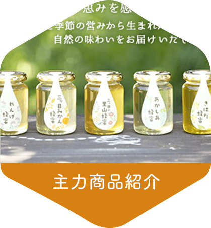 主力商品紹介