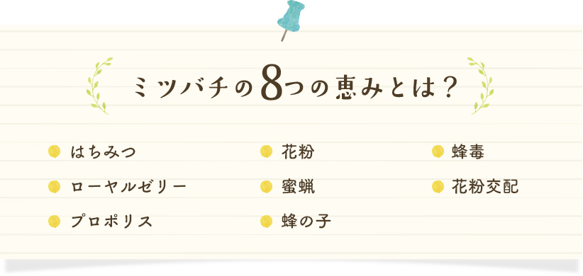 ミツバチの８つの恵みとは？