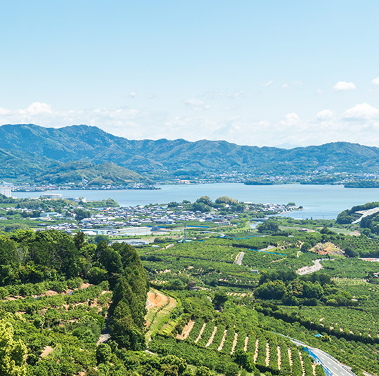 三ヶ日で生まれ育ったこと、それが誇りです。