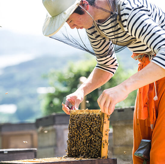 ミツバチと自然と養蜂家、すべて揃ってはちみつが生まれます。